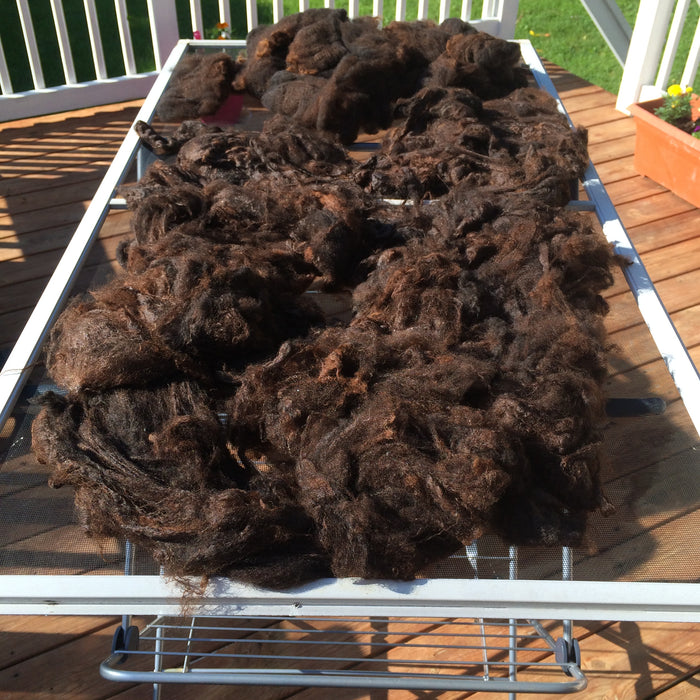 8.30.25 So Much Fleece! with Mel Duarte