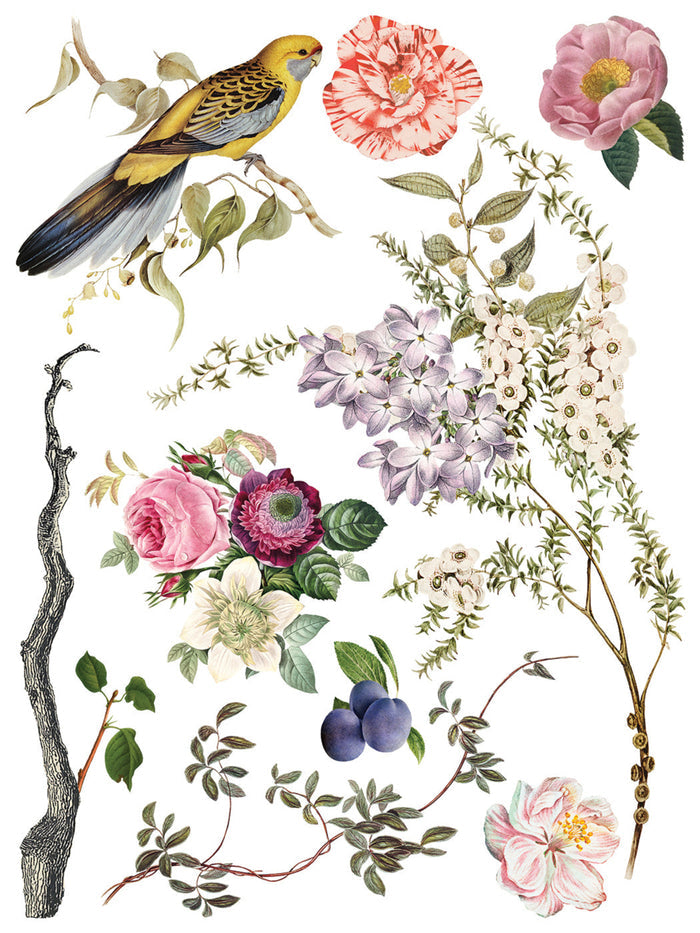 Menagerie Transfer by IOD