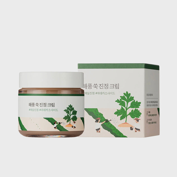 Round Lab Mugwort Calming Cream Korean skin soothing moisturizer