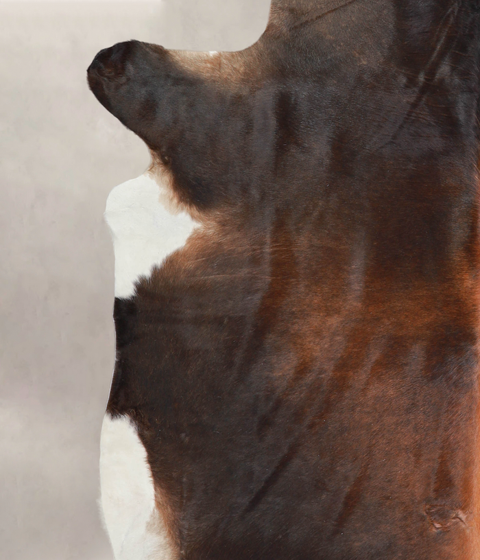 Brown with Red Cowhide Rug #A24729