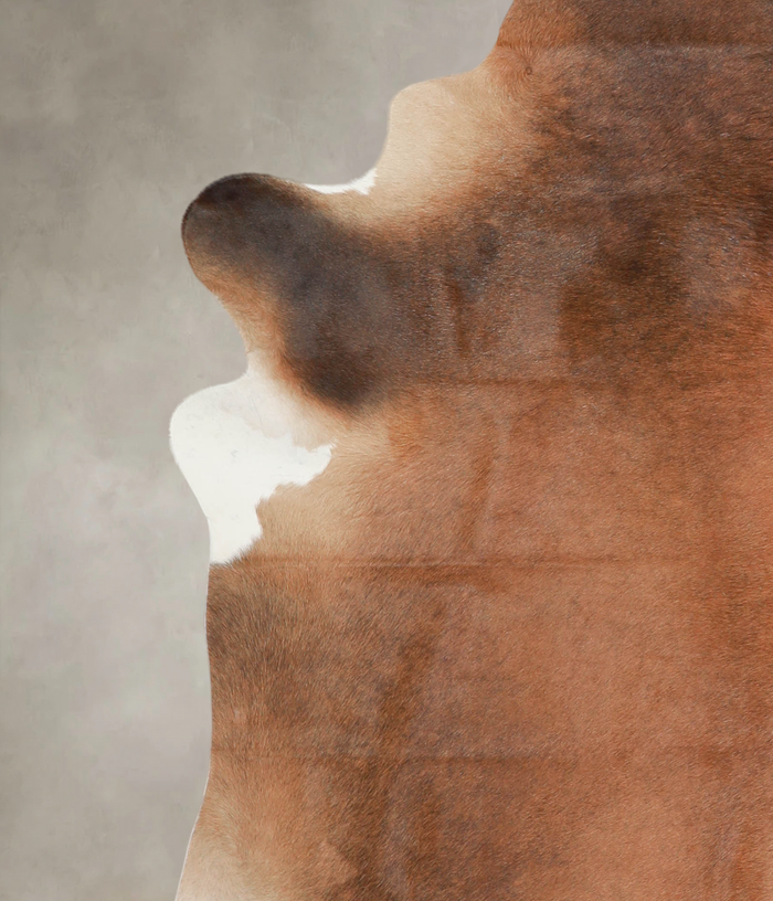 Brown with Red Cowhide Rug #A24722