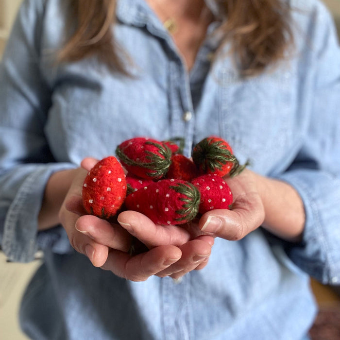 5.24.25 Felted Strawberries with Michelle Provencal