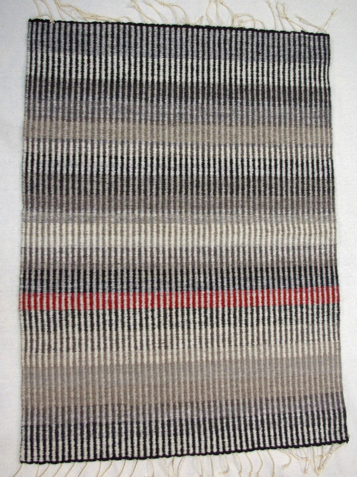 8.23.25 Weft-Faced Rug Weaving with Ray Cooper