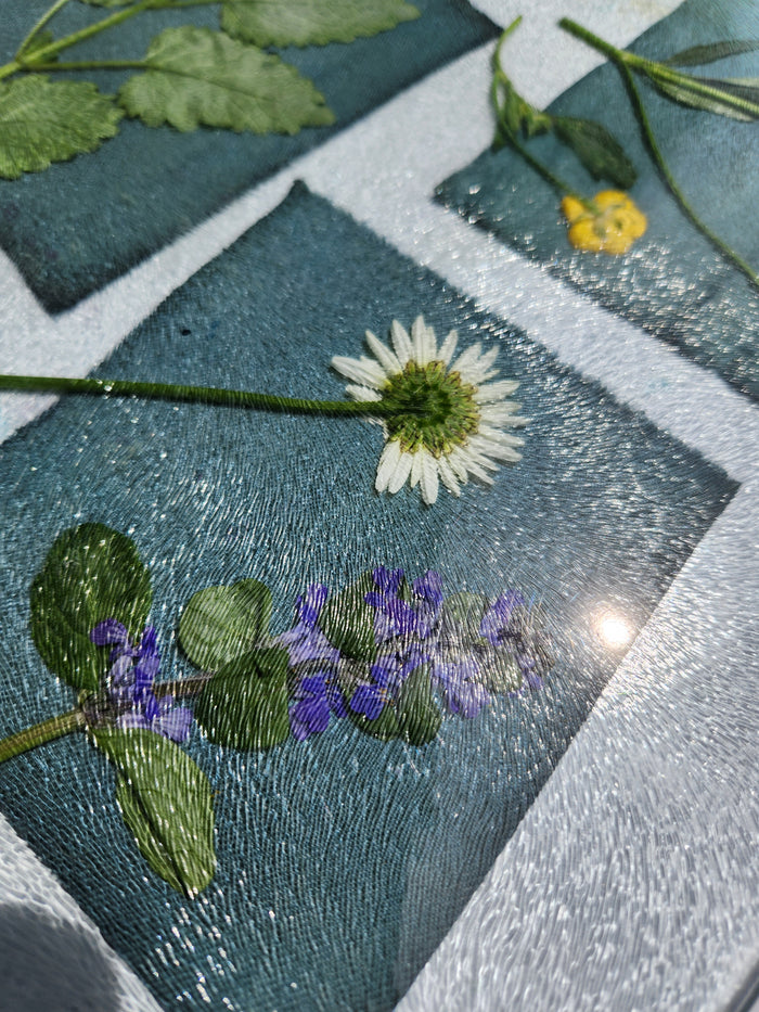 9.5.26 Cyanotype Photograms with Rosalba Breazeale