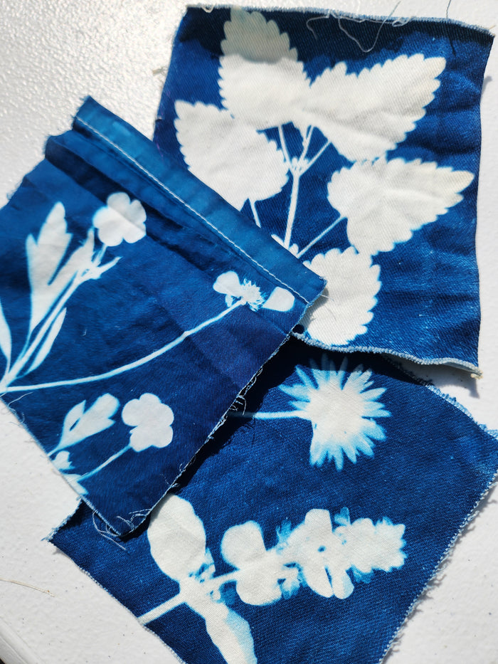 9.5.26 Cyanotype Photograms with Rosalba Breazeale