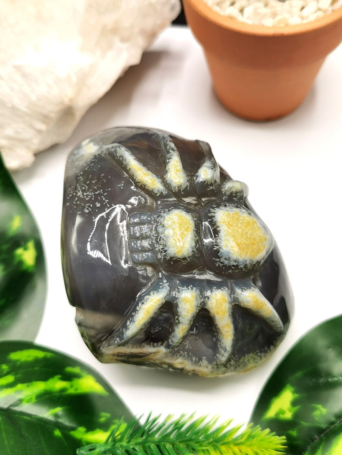 Agate Geode with spider carving- Crystal Healing - Hand carved from single piece agate geode - Shwasam