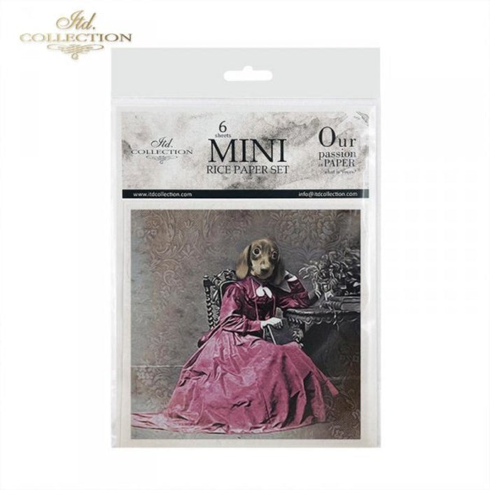 Animal Friends in Finery Rice Paper Mini Set by ITD Collection, RSM036, Pack of 6 Cover