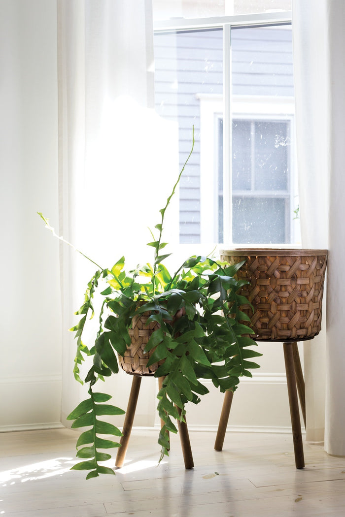 Accent Decor Bam Basket Plant Stand