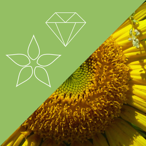 Chakra 3: Solar Plexus