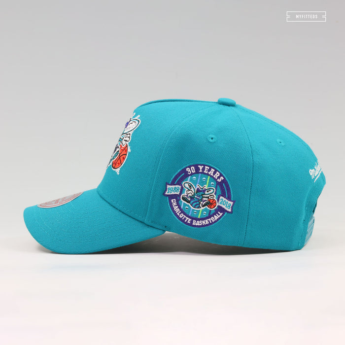 CHARLOTTE HORNETS 30TH ANNIVERSARY PRO-PINCH FIT GEMSTONES MITCHELL & NESS SNAPBACK
