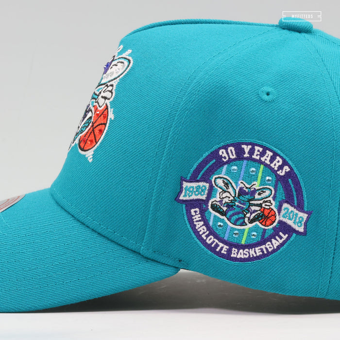 CHARLOTTE HORNETS 30TH ANNIVERSARY PRO-PINCH FIT GEMSTONES MITCHELL & NESS SNAPBACK