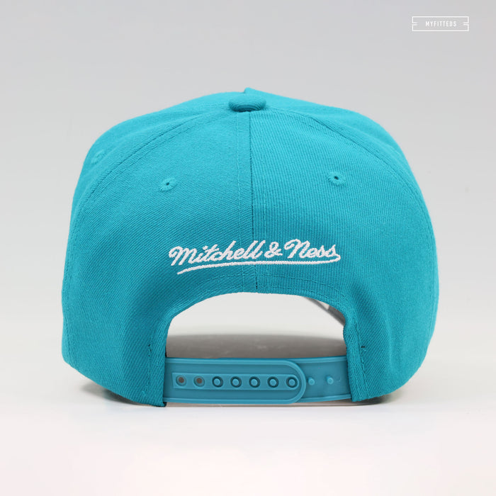 CHARLOTTE HORNETS 30TH ANNIVERSARY PRO-PINCH FIT GEMSTONES MITCHELL & NESS SNAPBACK