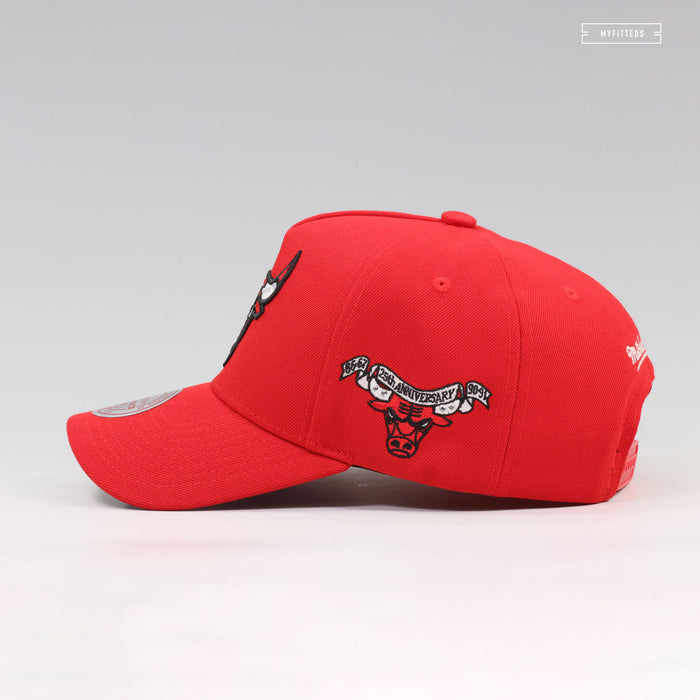 CHICAGO BULLS NBA 25TH ANNIVERSARY PRO-PINCH FIT GEMSTONES MITCHELL & NESS SNAPBACK