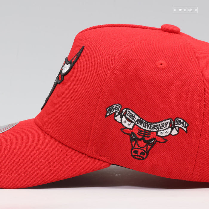 CHICAGO BULLS NBA 25TH ANNIVERSARY PRO-PINCH FIT GEMSTONES MITCHELL & NESS SNAPBACK