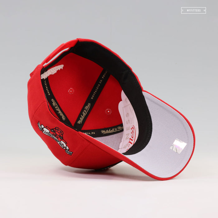 CHICAGO BULLS NBA 25TH ANNIVERSARY PRO-PINCH FIT GEMSTONES MITCHELL & NESS SNAPBACK