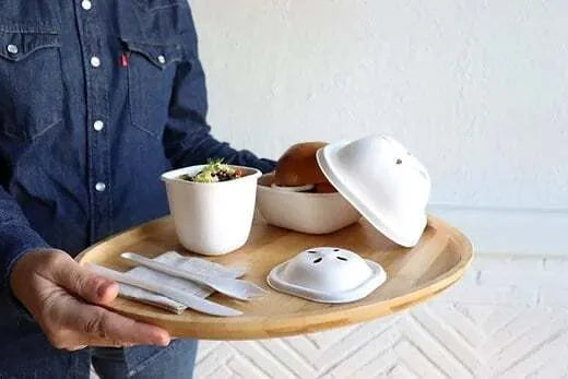 Eco Sugarcane Fry Box