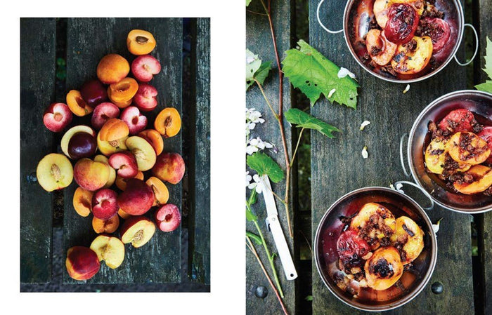 Feast by Firelight: Simple Recipes for Camping, Cabins, and the Great Outdoors (Emma Frisch)