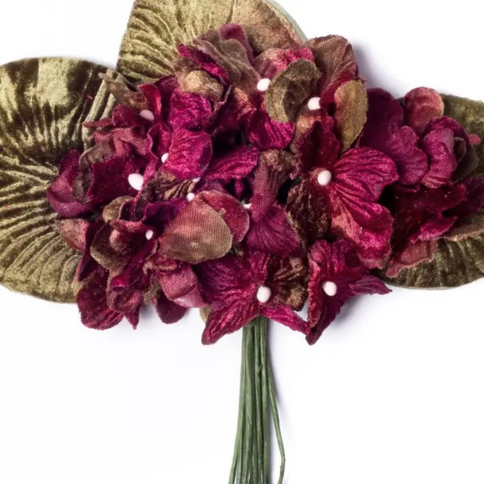 Hydrangea_Burgundy