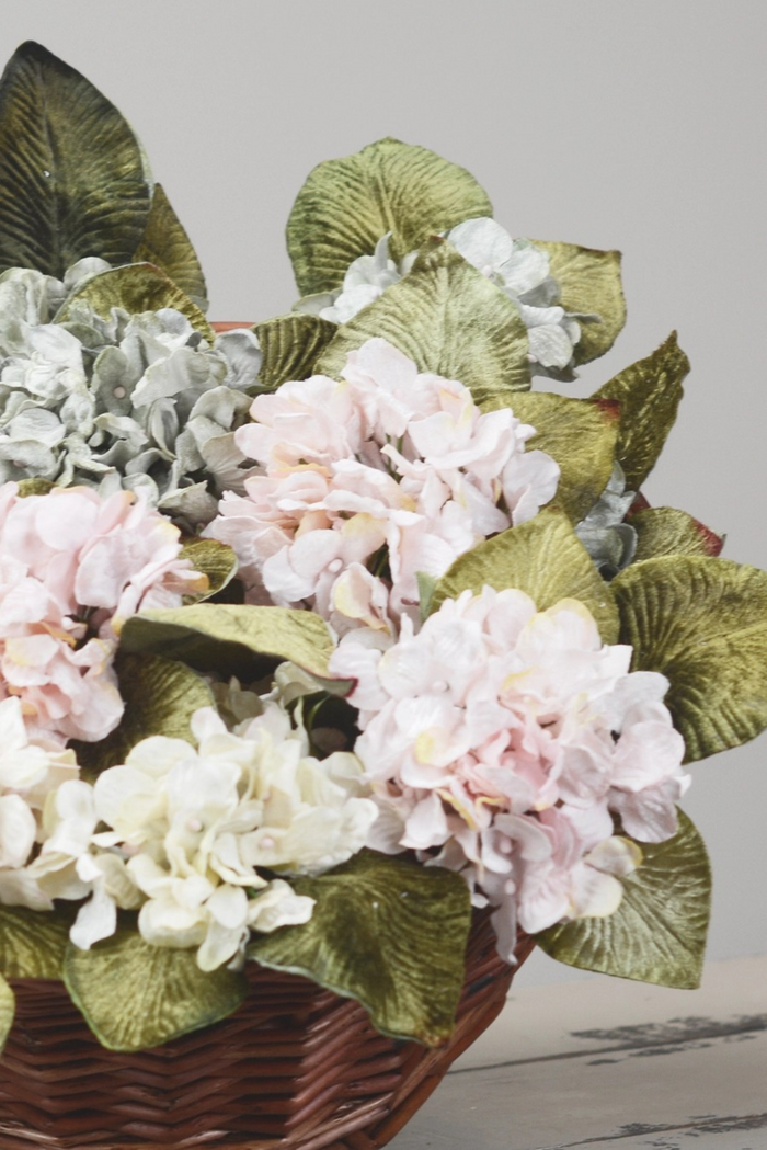 Flower - Hydrangea