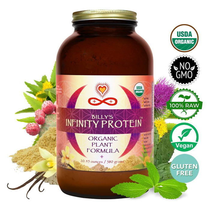 Infinity Protein Vanilla