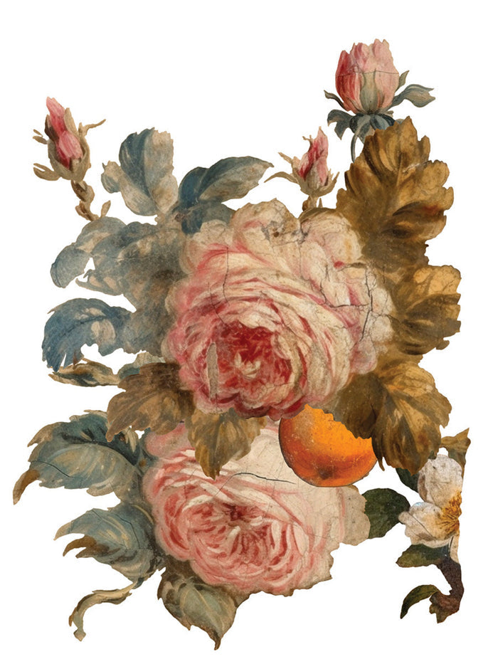 Joie des Roses, Transfer by IOD, Iron Orchid Designs