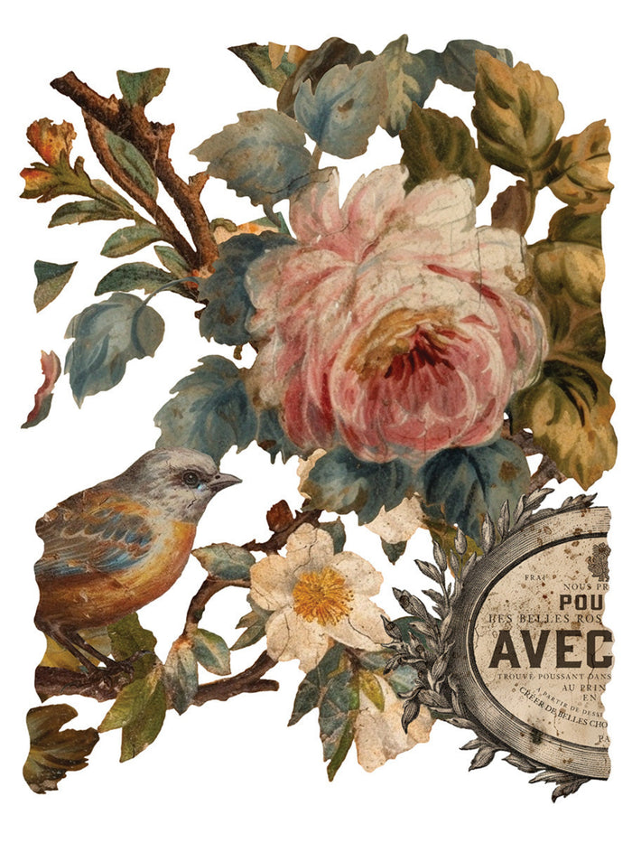 Joie des Roses, Transfer by IOD, Iron Orchid Designs