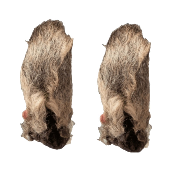 Kangaroo Ears with fur