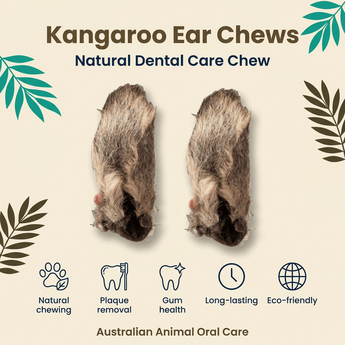 Kangaroo Ear Chew