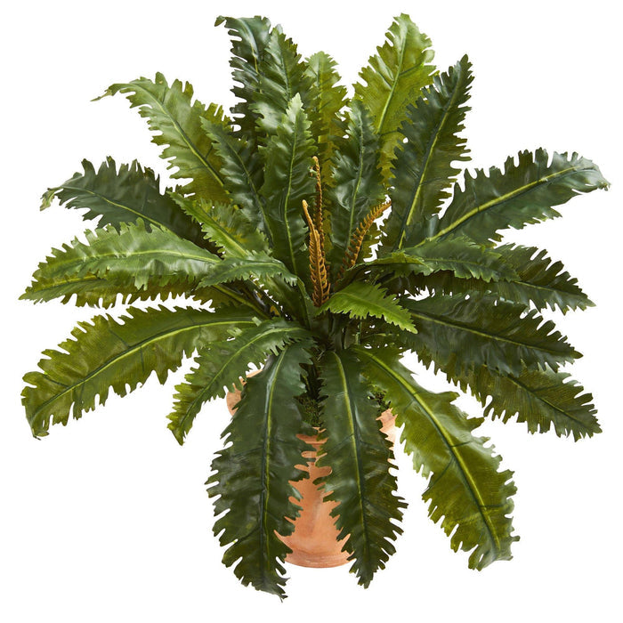 Marginatum Artificial Plant in Terra Cotta Planter