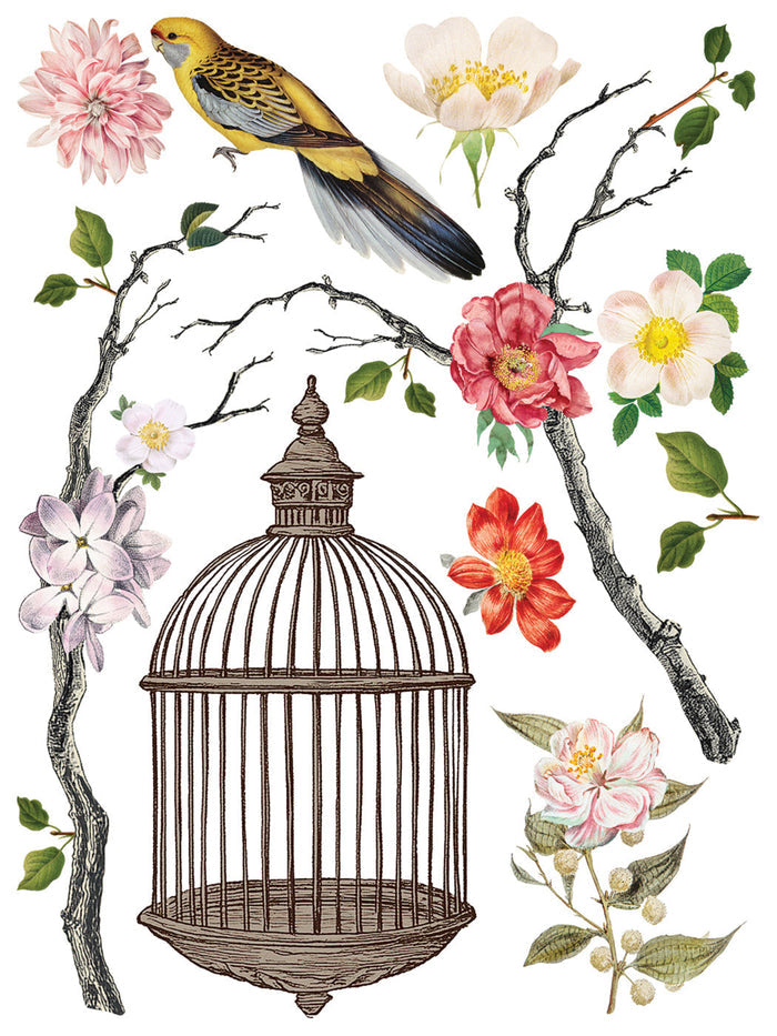 Menagerie Transfer by IOD