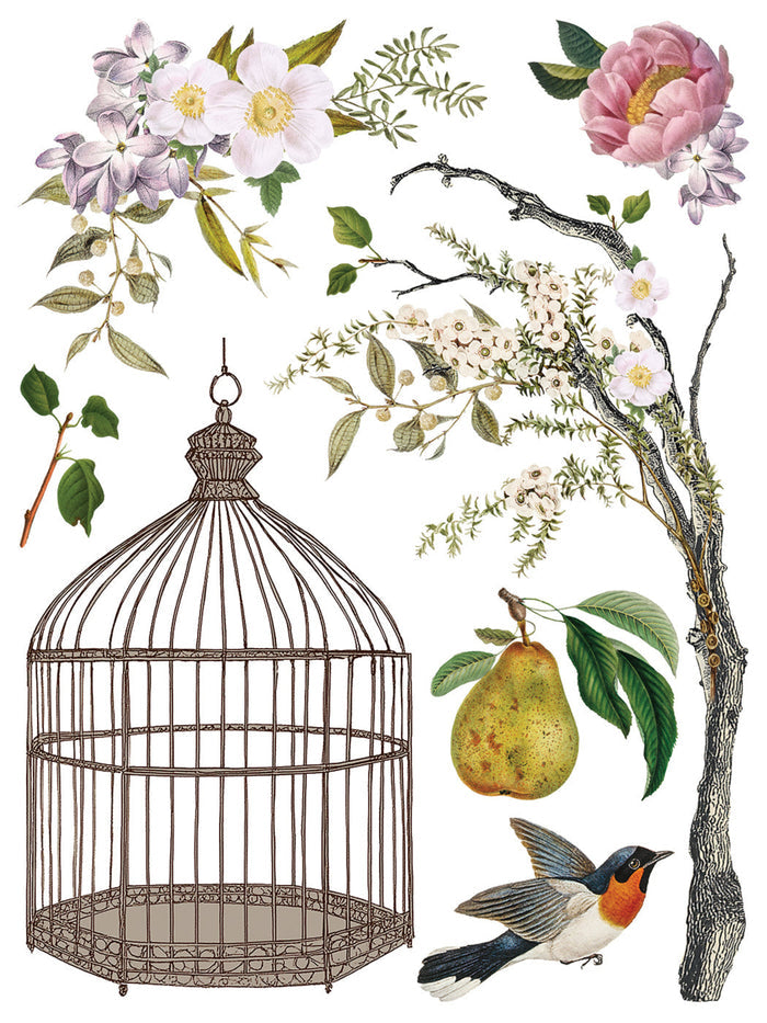 Menagerie Transfer by IOD