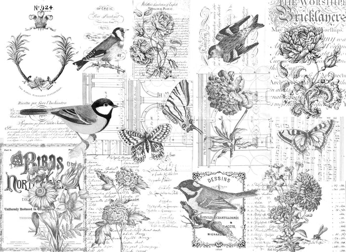 Paintable Botanical Decoupage Paper by Roycycled Treasures