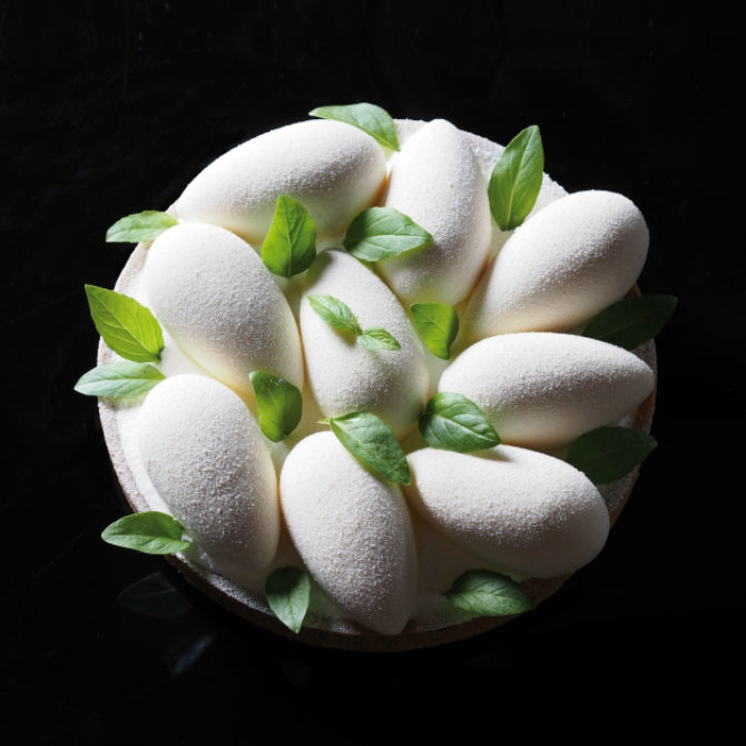 Pavoflex Silicone Quenelle Tonda Mold  - 49 Forms
