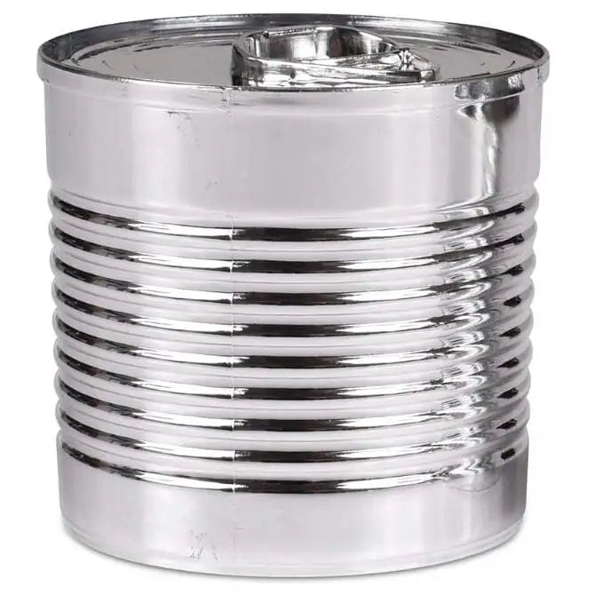 Plastic Silver Tin Can with Lid, 2 oz.