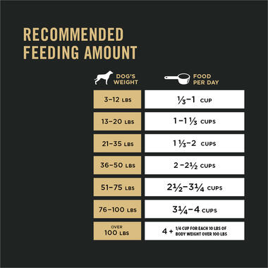 Purina Pro Plan Adult Sensitive Skin & Stomach Salmon & Rice Formula For Dogs