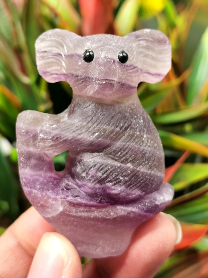 Purple Fluorite Stone carving of a beautiful Koala - Brilliantly handcarved - Shwasam