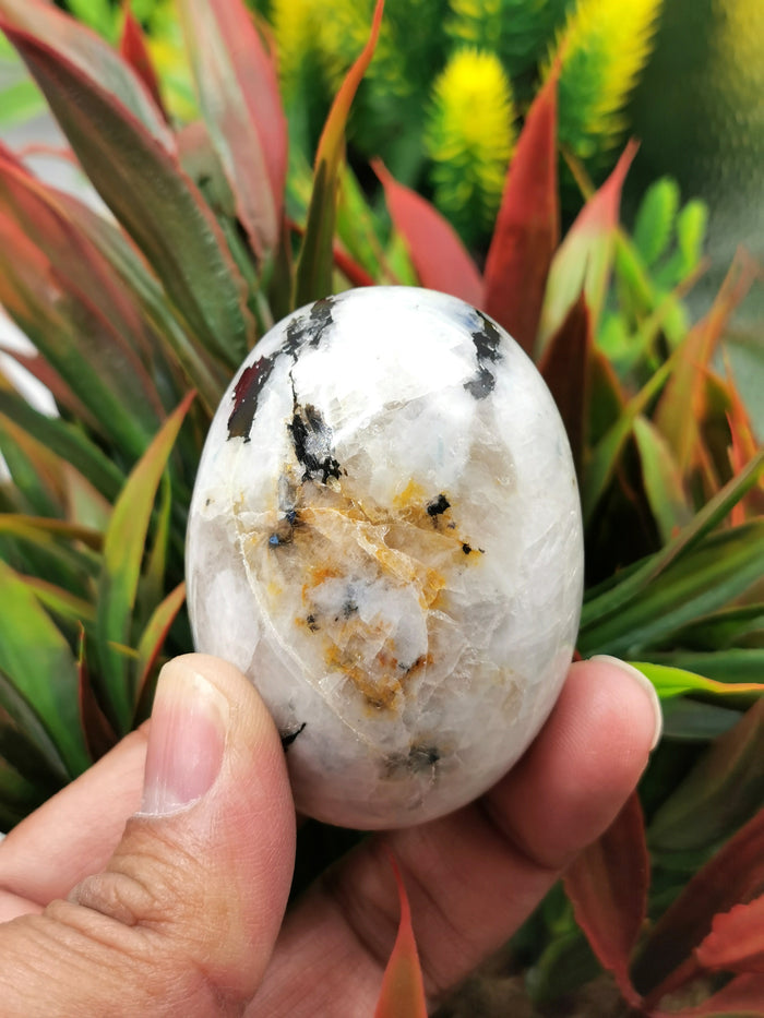 Rainbow Moonstone Lingam for Energy, Reiki, Crystal Healing - 2 inches (5 cms) length and 135 gms (0.3 lb) - Shwasam