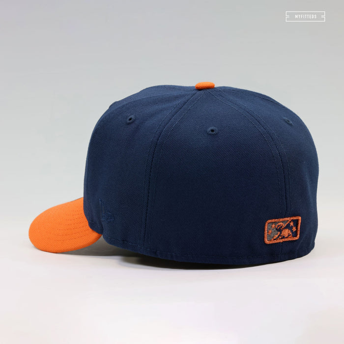 SAN BERNARDINO STAMPEDE THE LEGEND OF ZELDA BREATH OF THE WILD GIANT HORSE INSPIRED NEW ERA CAP