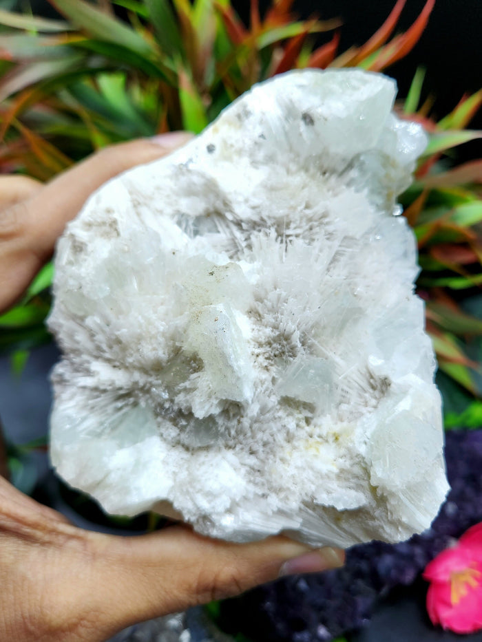 Scolecite natural free forms - reiki/energy/chakra/healing - 4 inches and 490 gms (1.08 lb) - Shwasam