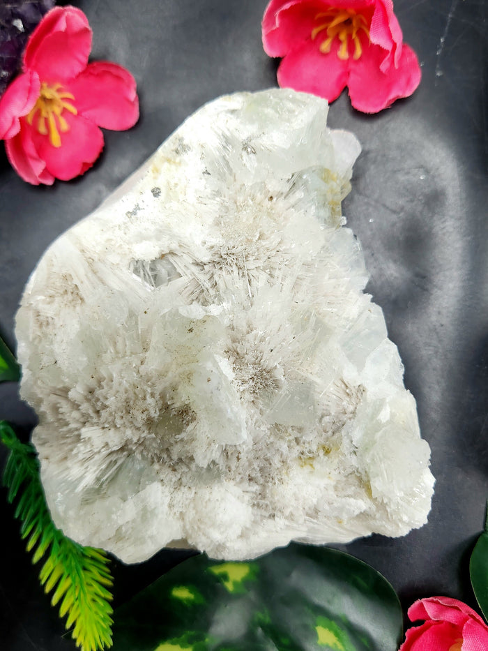 Scolecite natural free forms - reiki/energy/chakra/healing - 4 inches and 490 gms (1.08 lb) - Shwasam