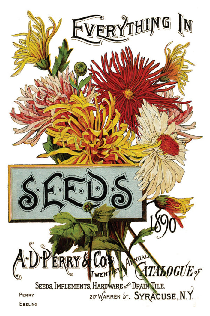 Seed Catalogue Transfer by IOD, Iron Orchid Designs Page 1