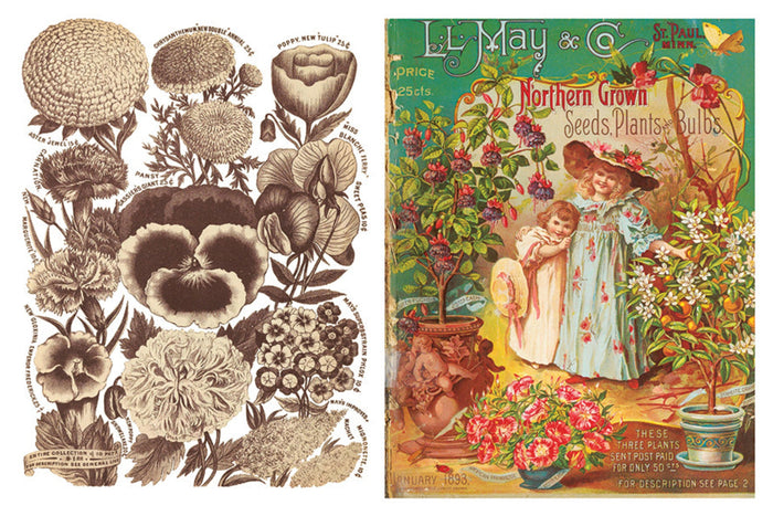 Seed Catalogue Transfer by IOD, Iron Orchid Designs Page 6