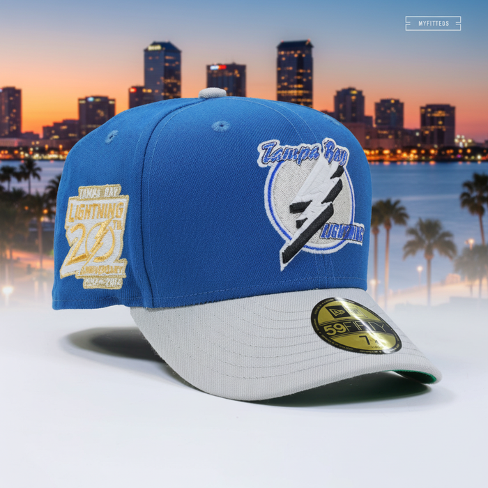 Tampa Bay Cityscape Cap
