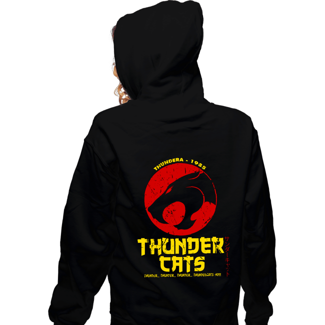 Zippered Hoodies, Unisex / Small / Black