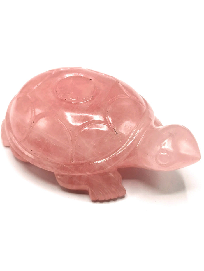 Tortoise carving in natural rose quartz stone - reiki/chakra/healing/crystal - 5 inch and 510 gm (1.12 lb) animal - Shwasam