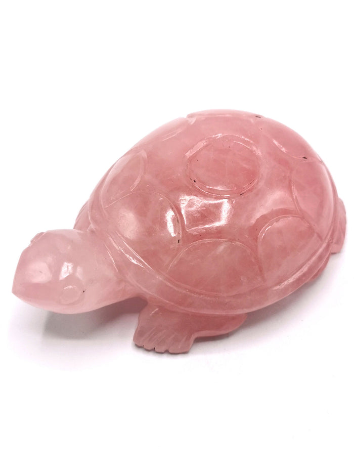Tortoise carving in natural rose quartz stone - reiki/chakra/healing/crystal - 5 inch and 510 gm (1.12 lb) animal - Shwasam
