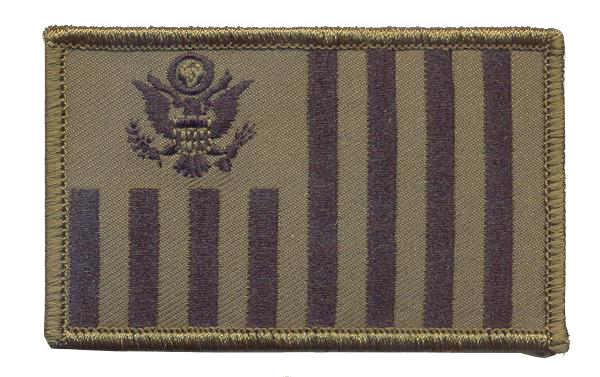 US Customs Ensign (Small 2 x 3.25") Patch (CBP Ensign)