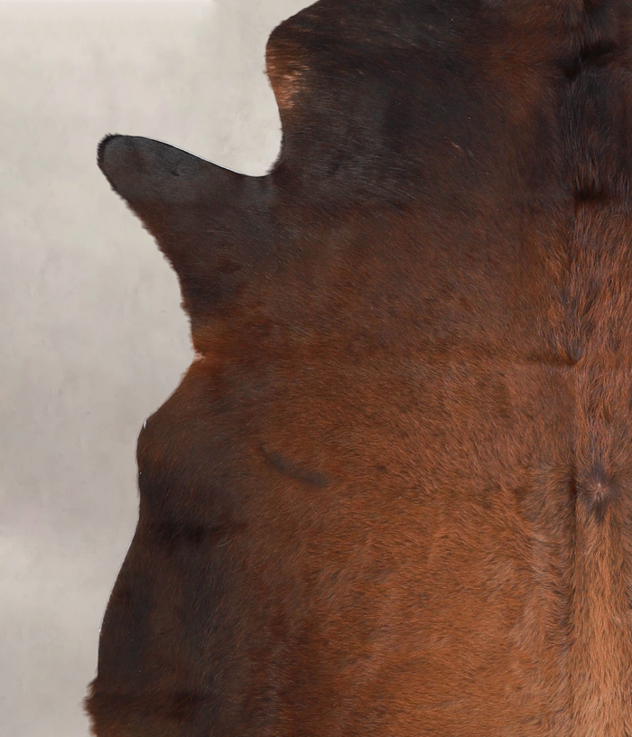 Brown with Red Cowhide Rug #A24737