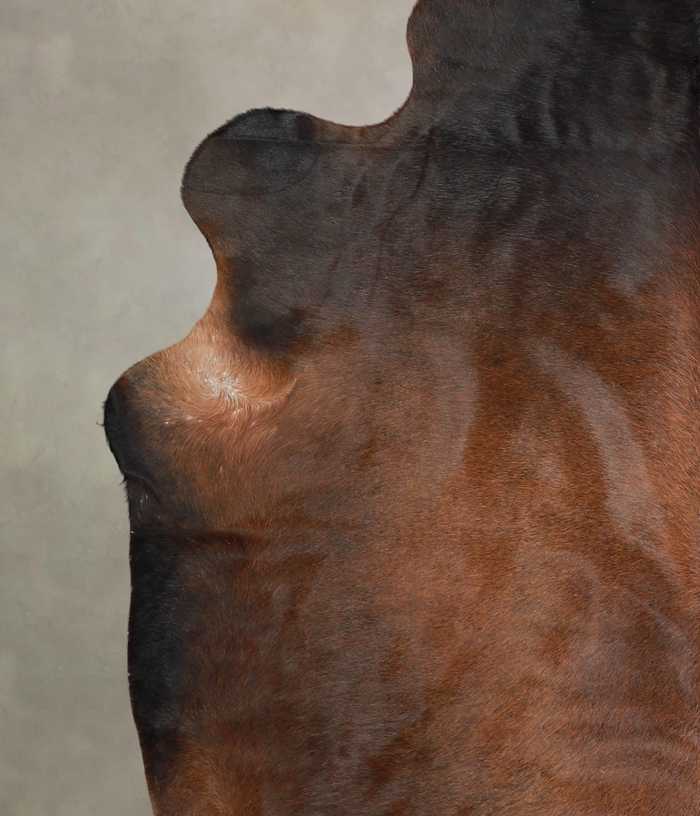 Brown with Red Cowhide Rug #A25336
