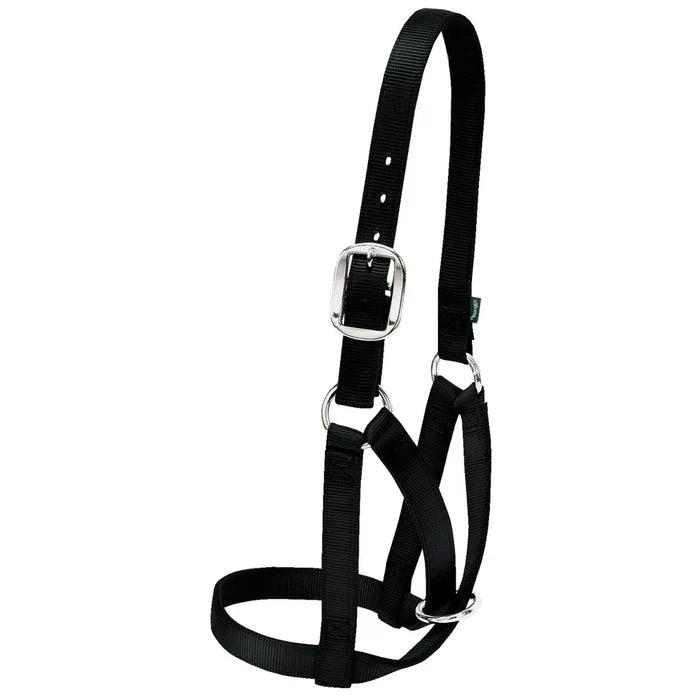 Weaver Barn Cow Halter